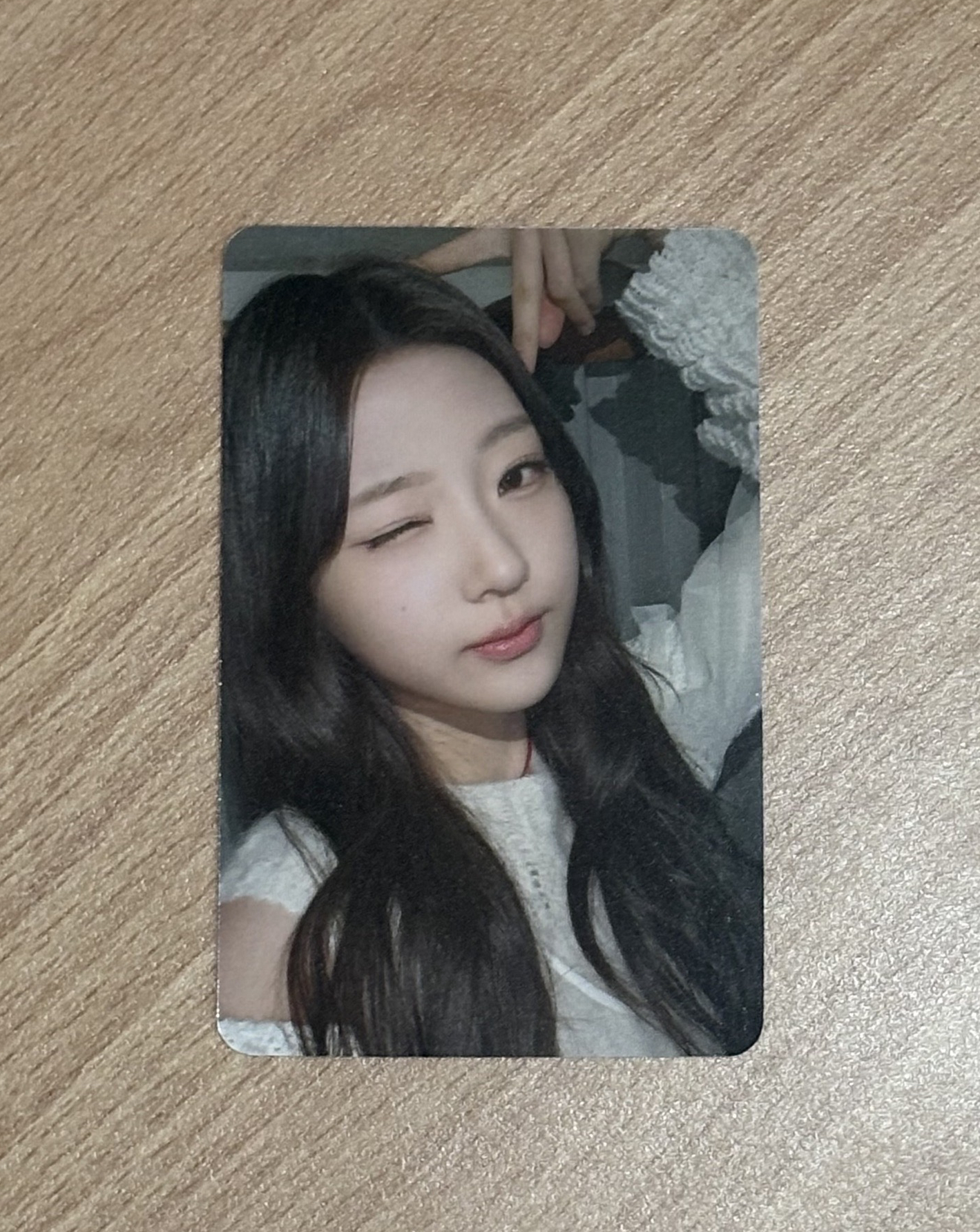 THE CHASE sr 星河 預售 中背 STELLA