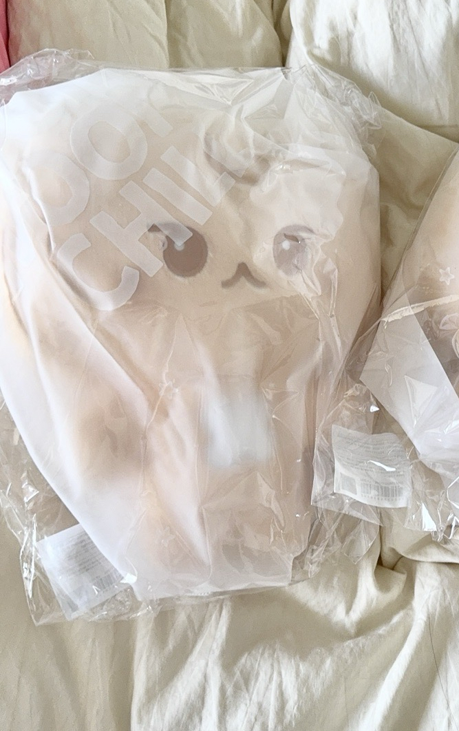 ⚡️NCT127 SOM MOONG CHILL 金道英 道貢包 30公分 娃娃 大娃