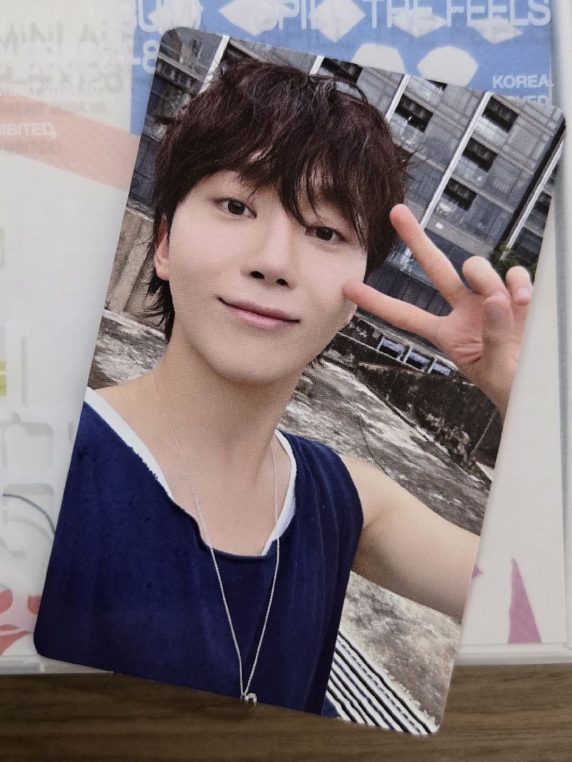 全專🪩迷12 Minil2 Kit Jun woozi Mingyu Seungkwan Vernon Dino