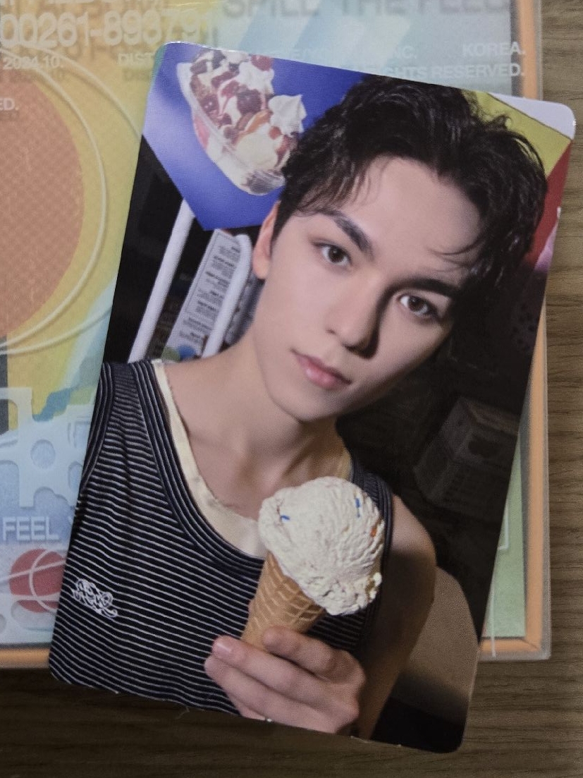 全專🪩迷12 Minil2 Kit Jun woozi Mingyu Seungkwan Vernon Dino