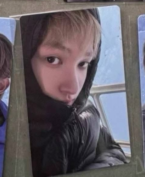 wvs 2.0 幸運卡 雪地馬 非現