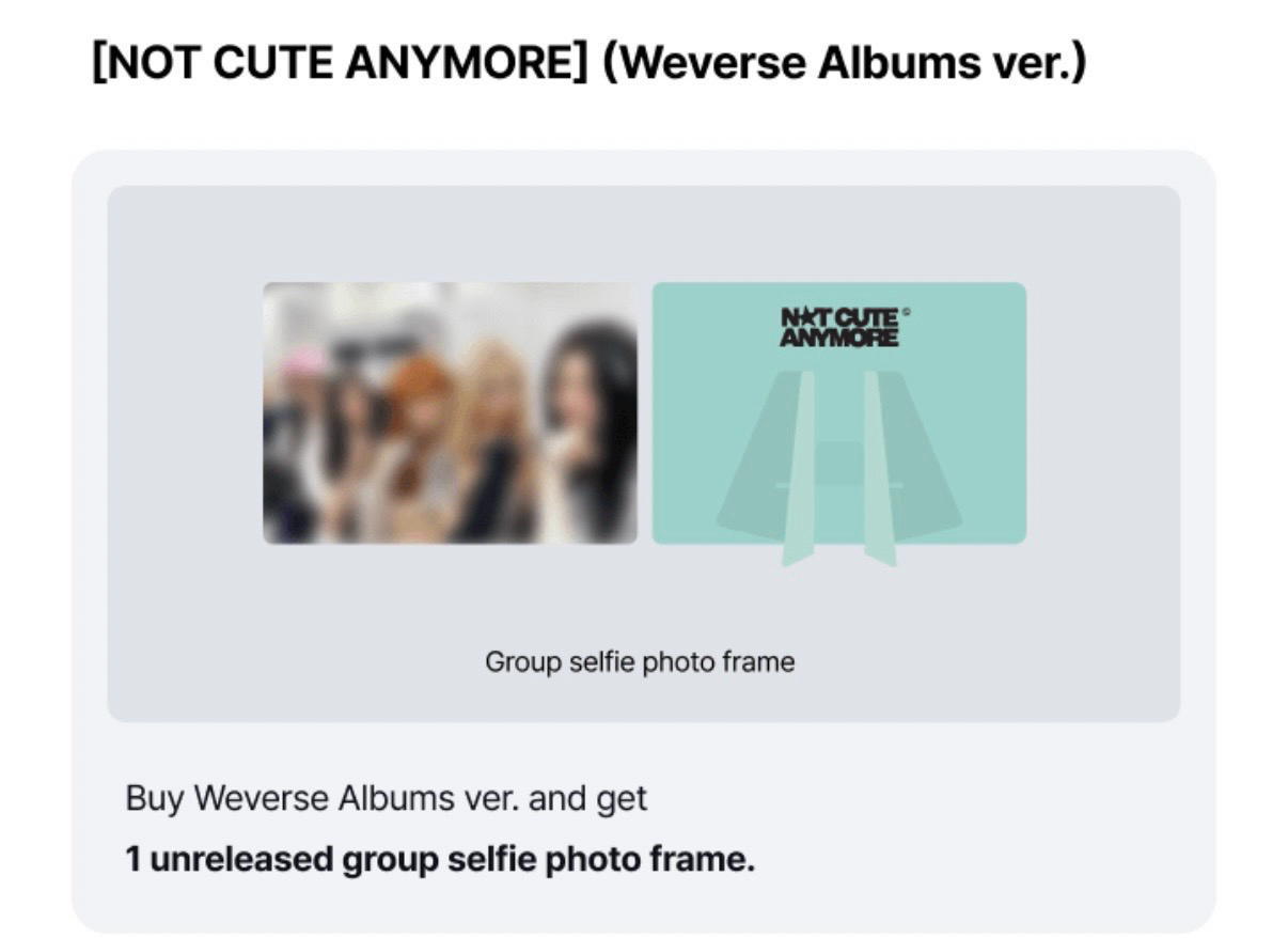 NOT CUTE ANYMORE 電子專