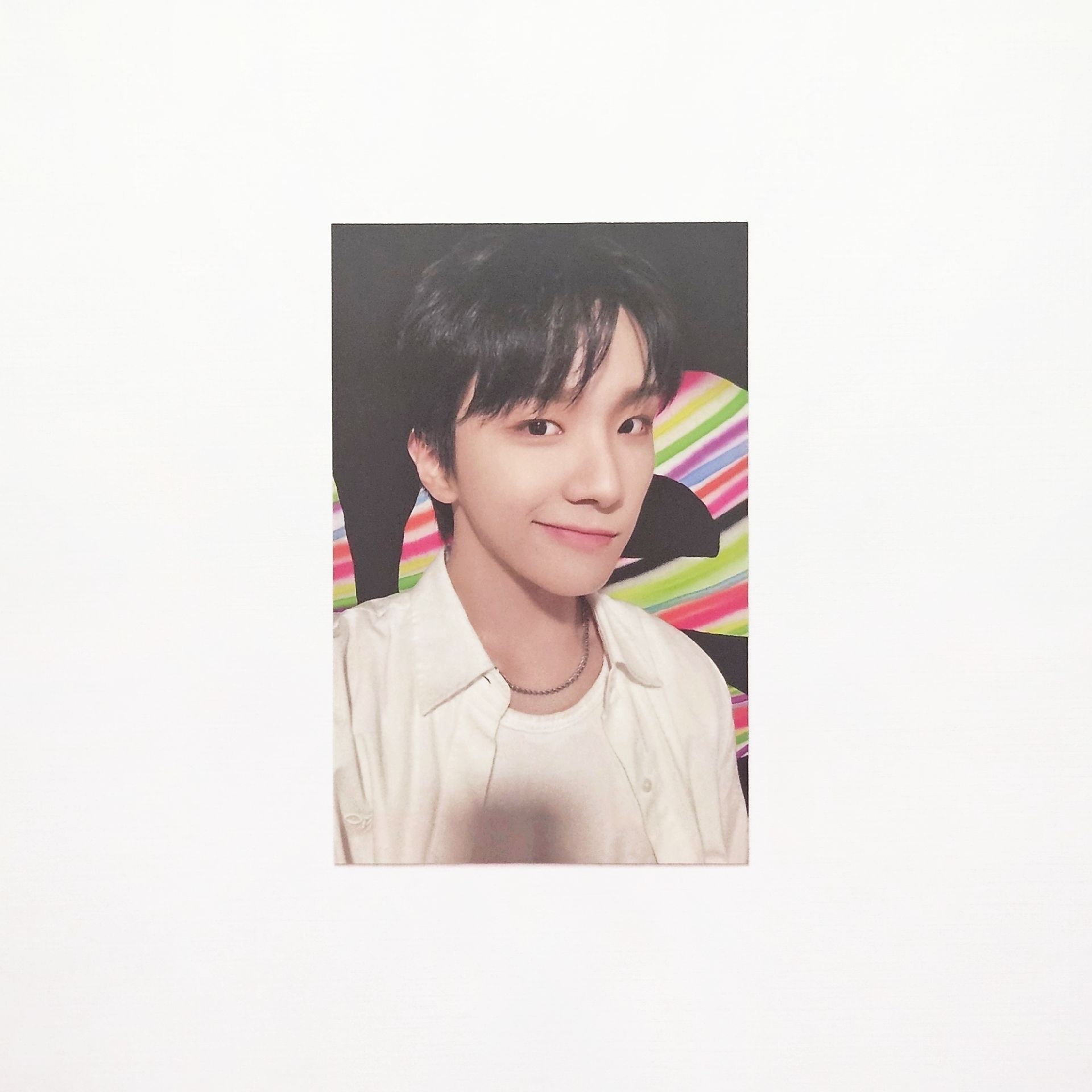 ⛄19.99UMS PB特典