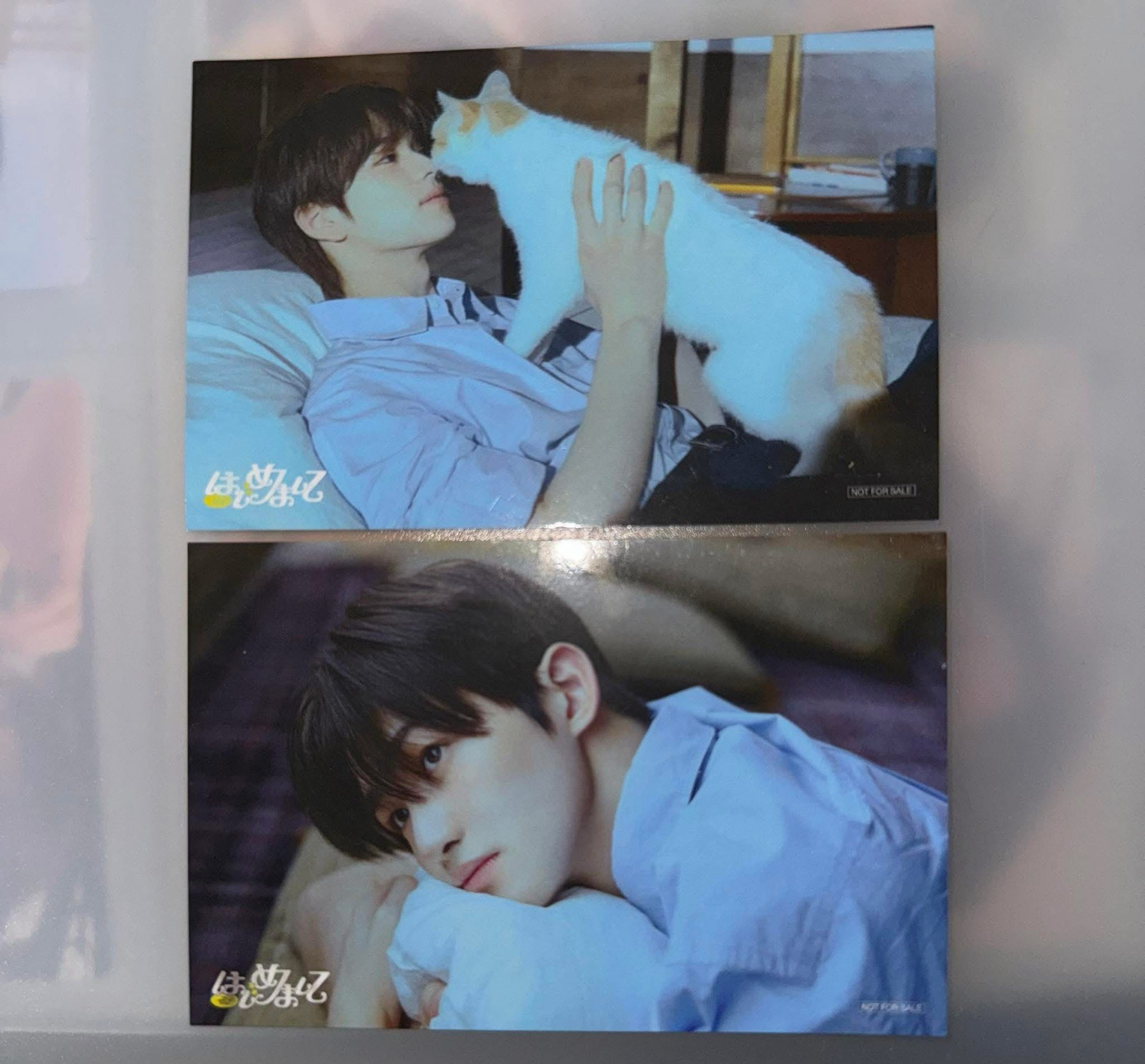 TWS 日專樂天特典 