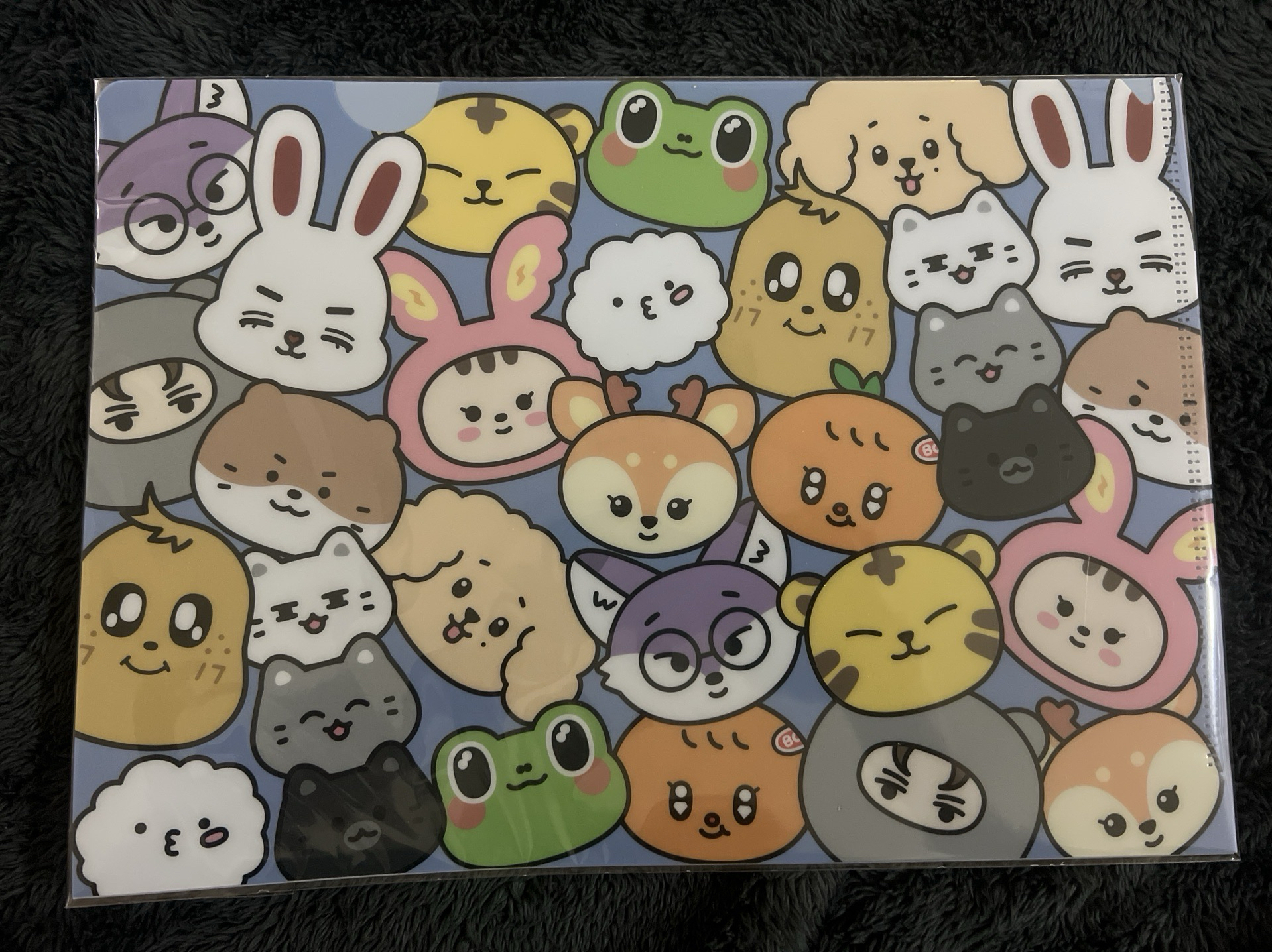 SEVENTEEN MINITEEN 資料夾（全新未拆）