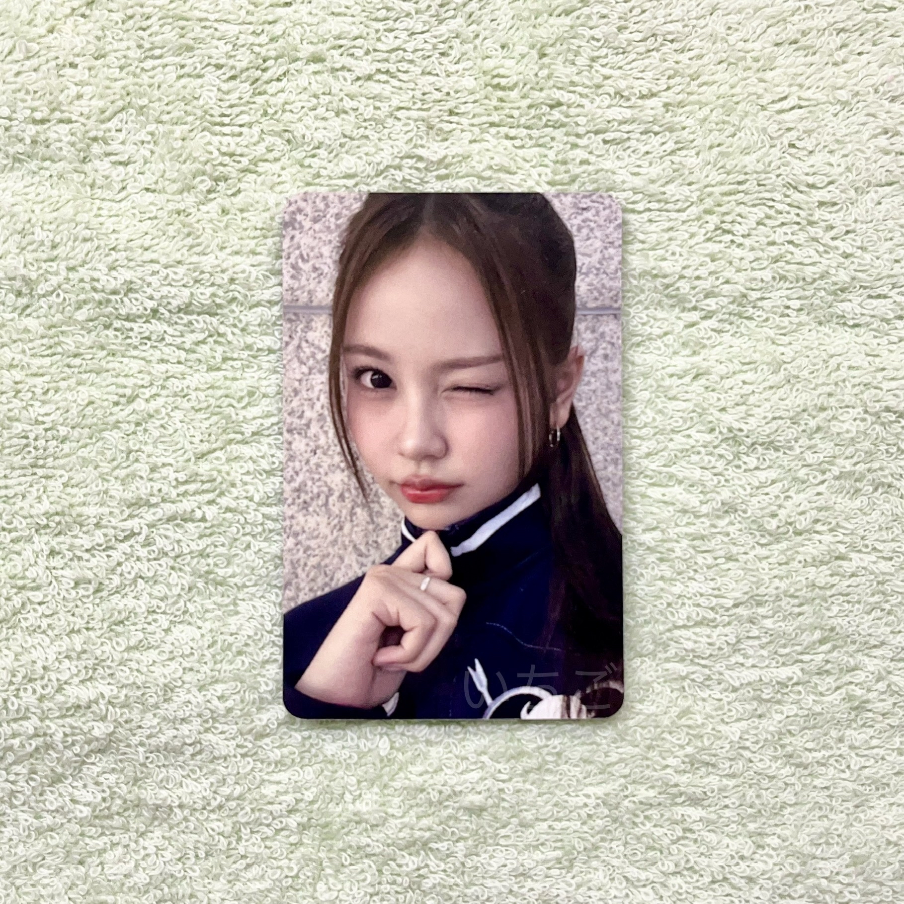 Carmen🌴FOCUS MR簽售特典