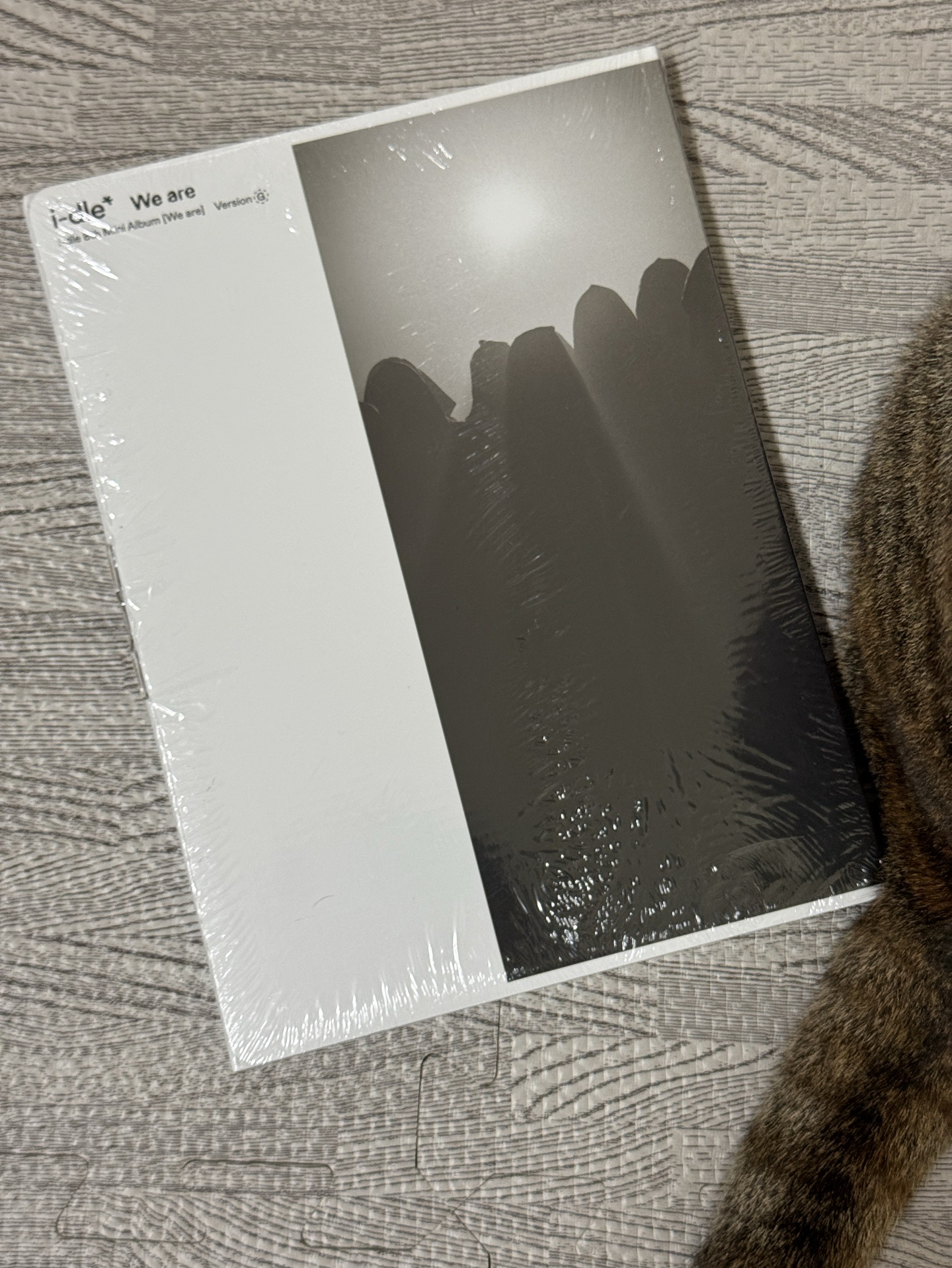 i-dle we are 普版專 G版 喪禮版