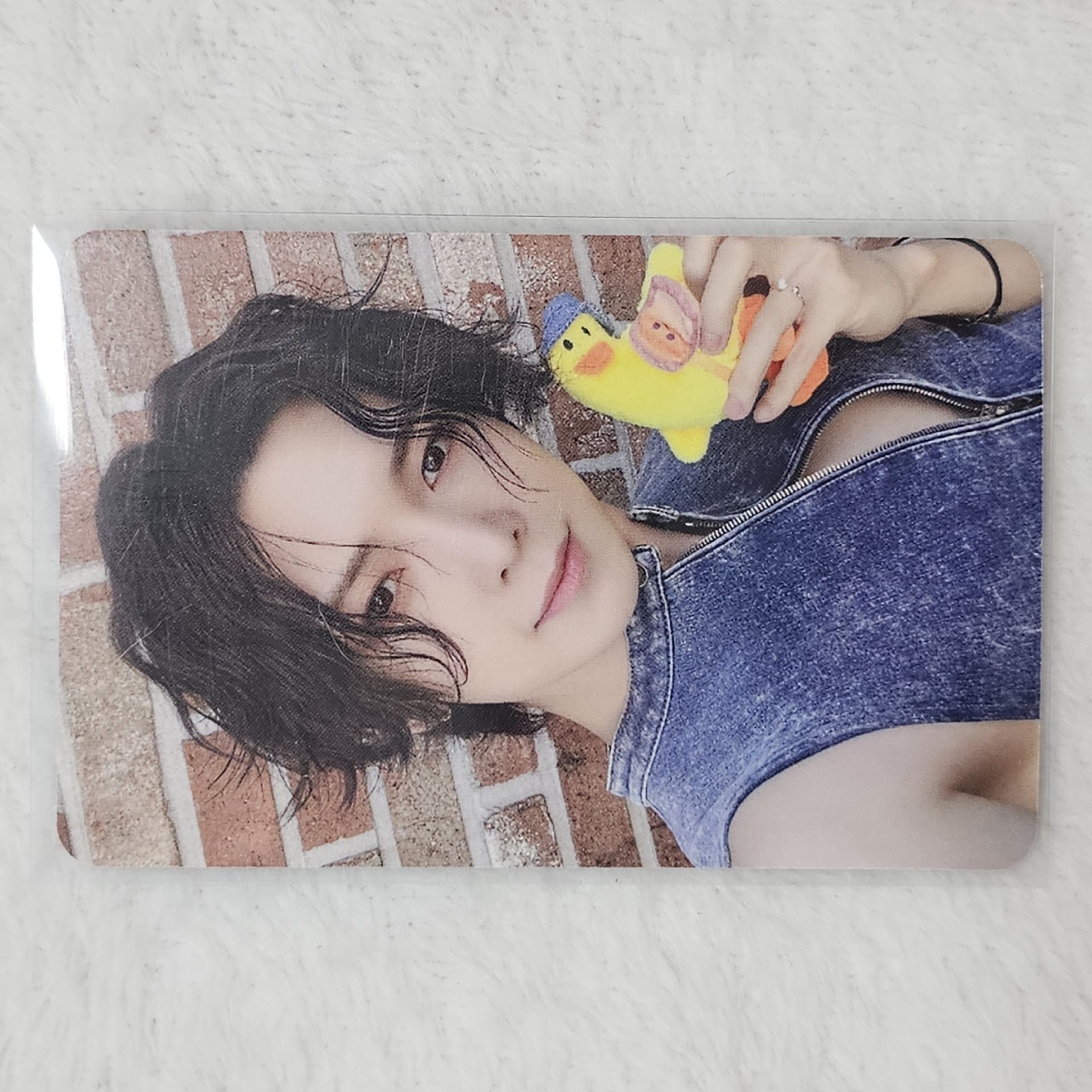 拿著鴨鴨的馬爾濟斯要多可愛