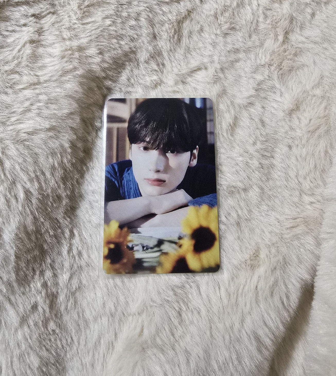 Summer together 夏日拍立得-休寧