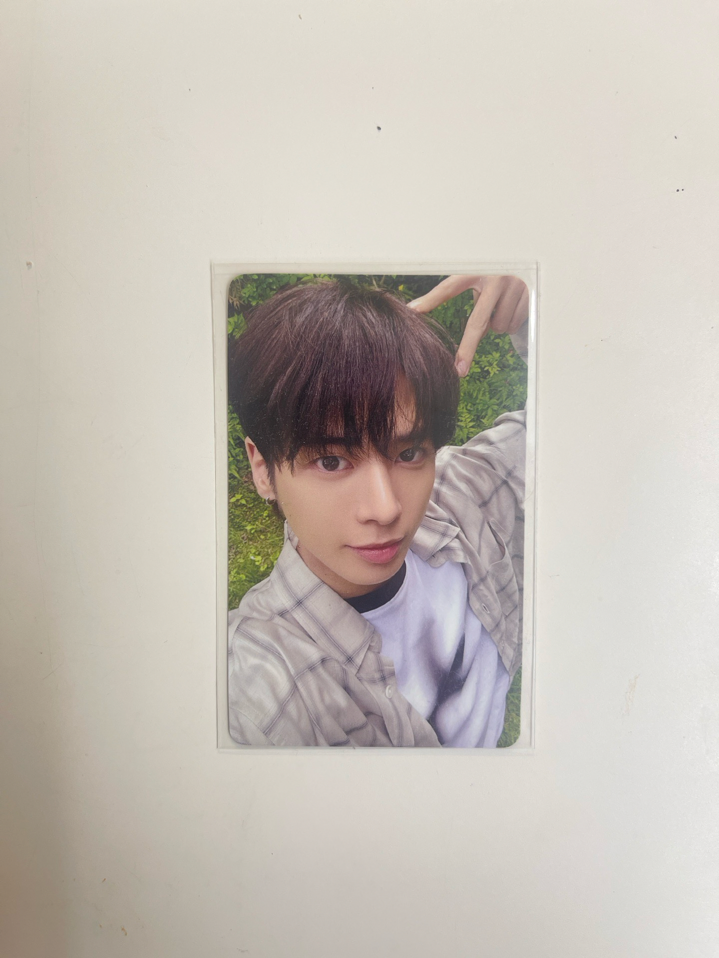 CHIKAI 誓い 入場卡 / 場限卡 顯