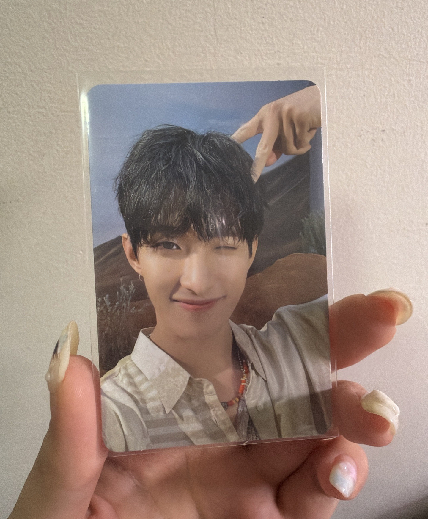 正規4專卡 小貓wink碩