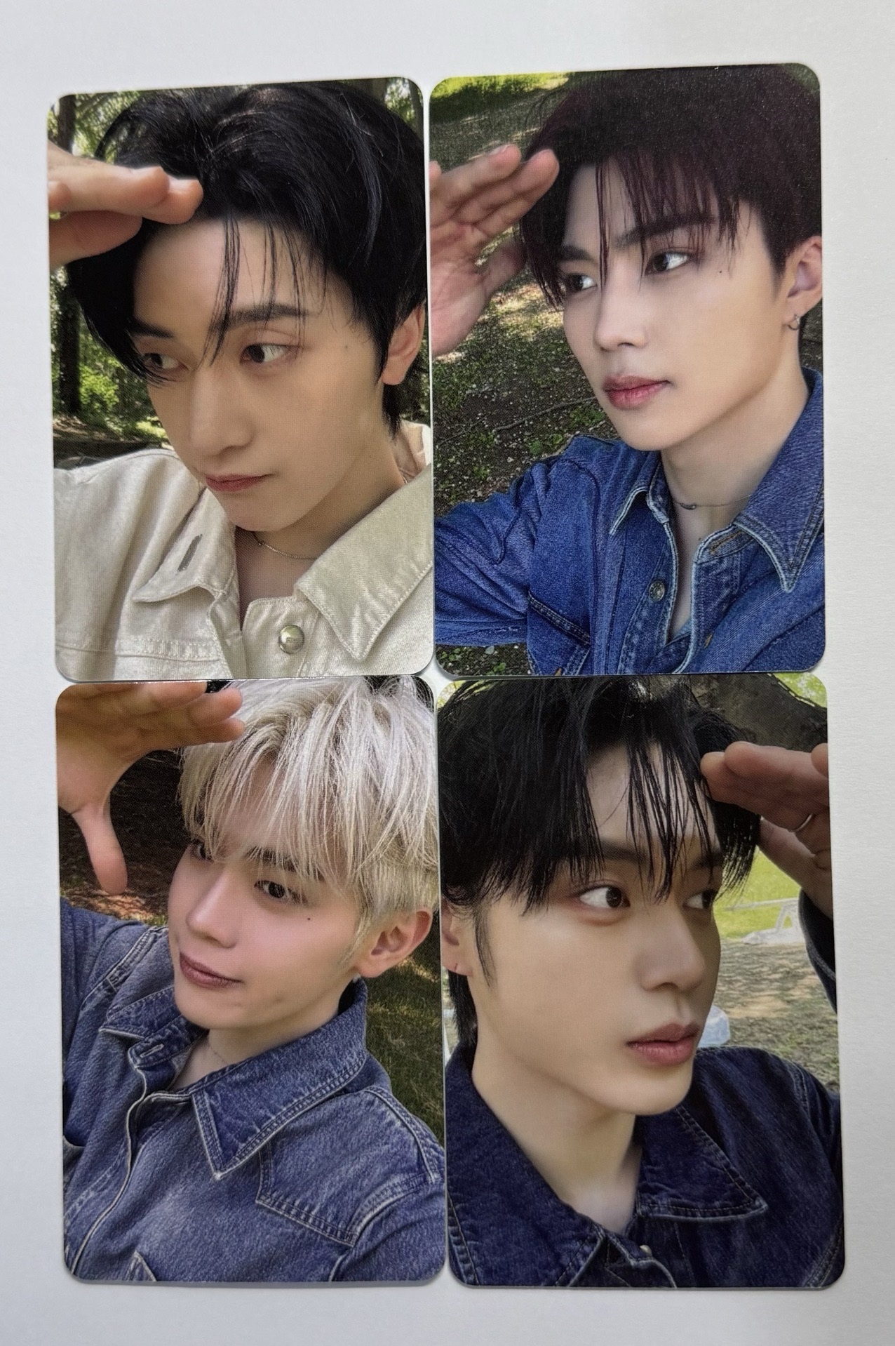 zb1-東張西望（中文卡背）