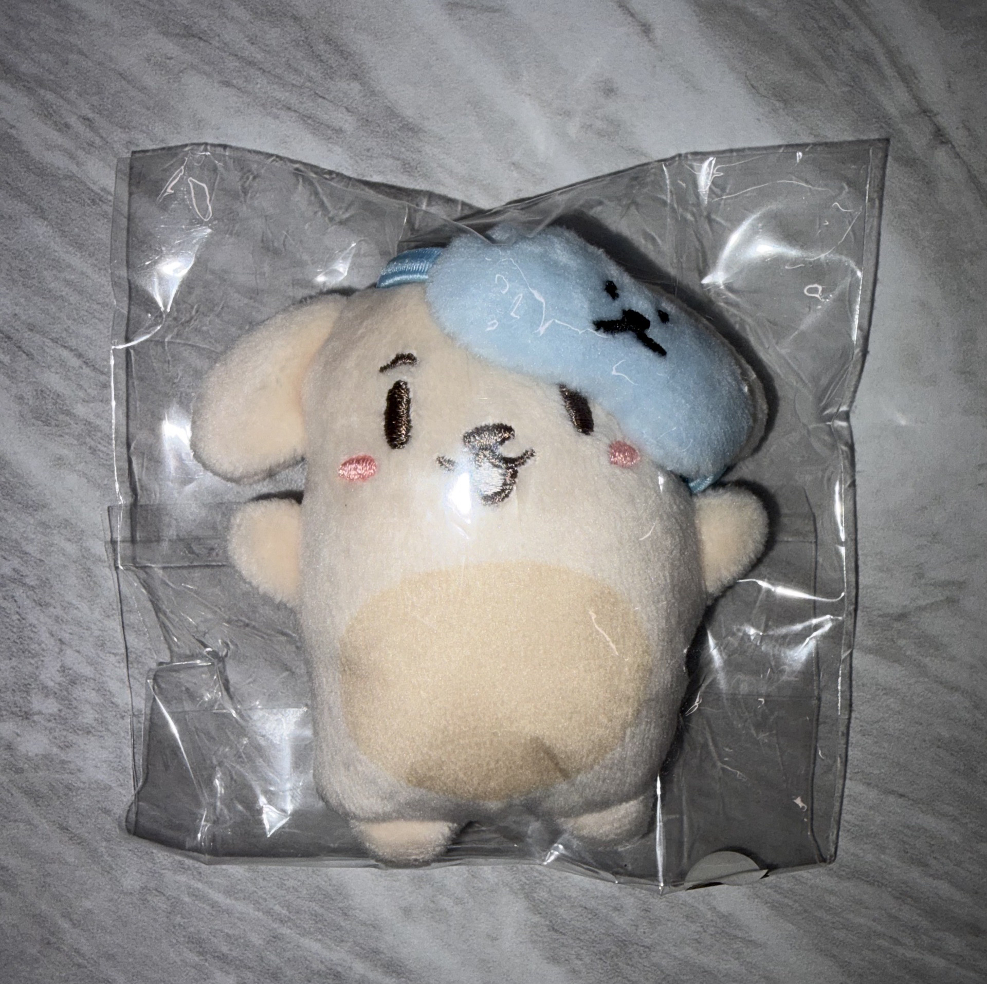 ateez 丁潤浩 2024生日禮 僅娃 +中潤夏寫