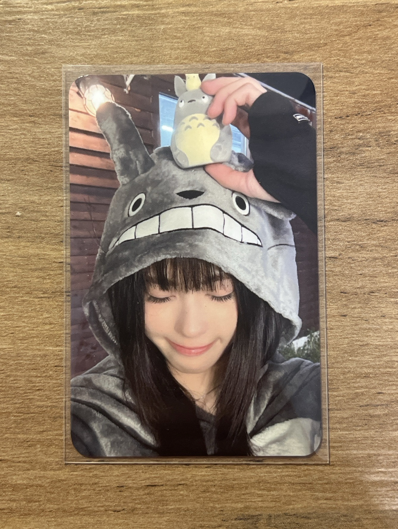 el 龍貓 扣 koko izna