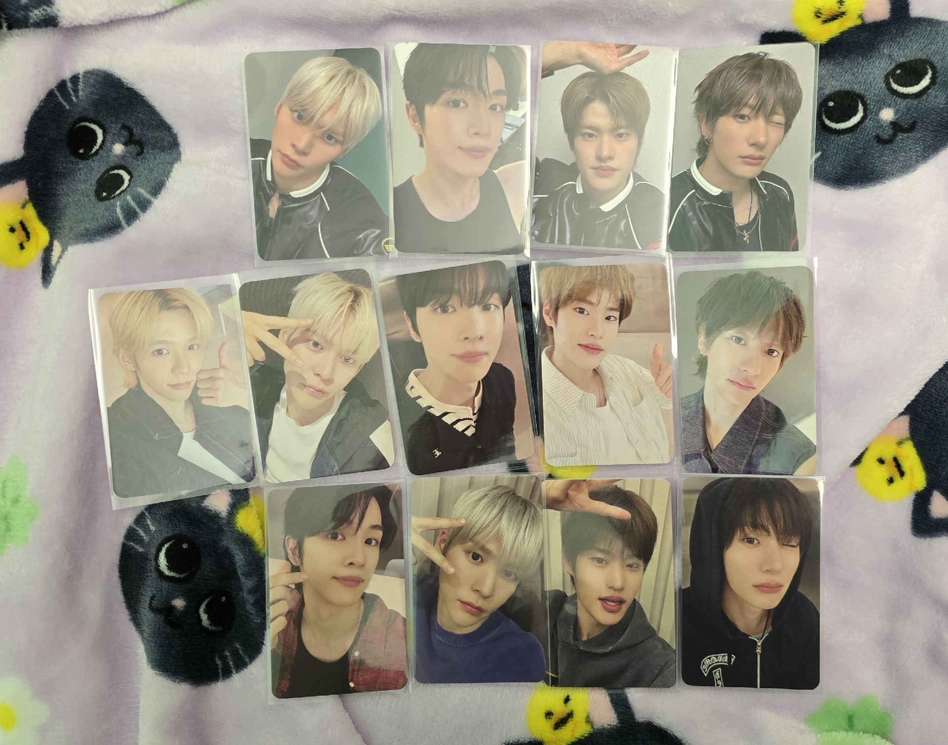 RIIZE 簽售卡 恩奭 成燦 炤熙 安東