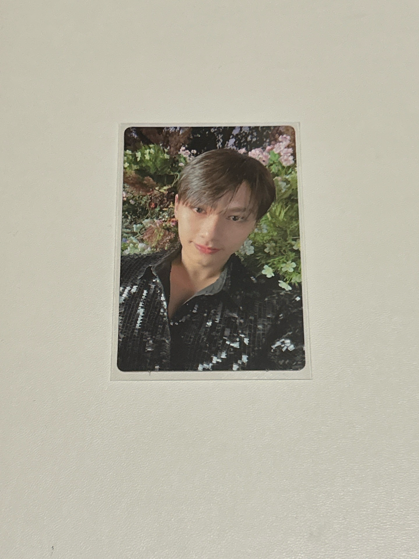 正四 Carat ver. 專輯卡