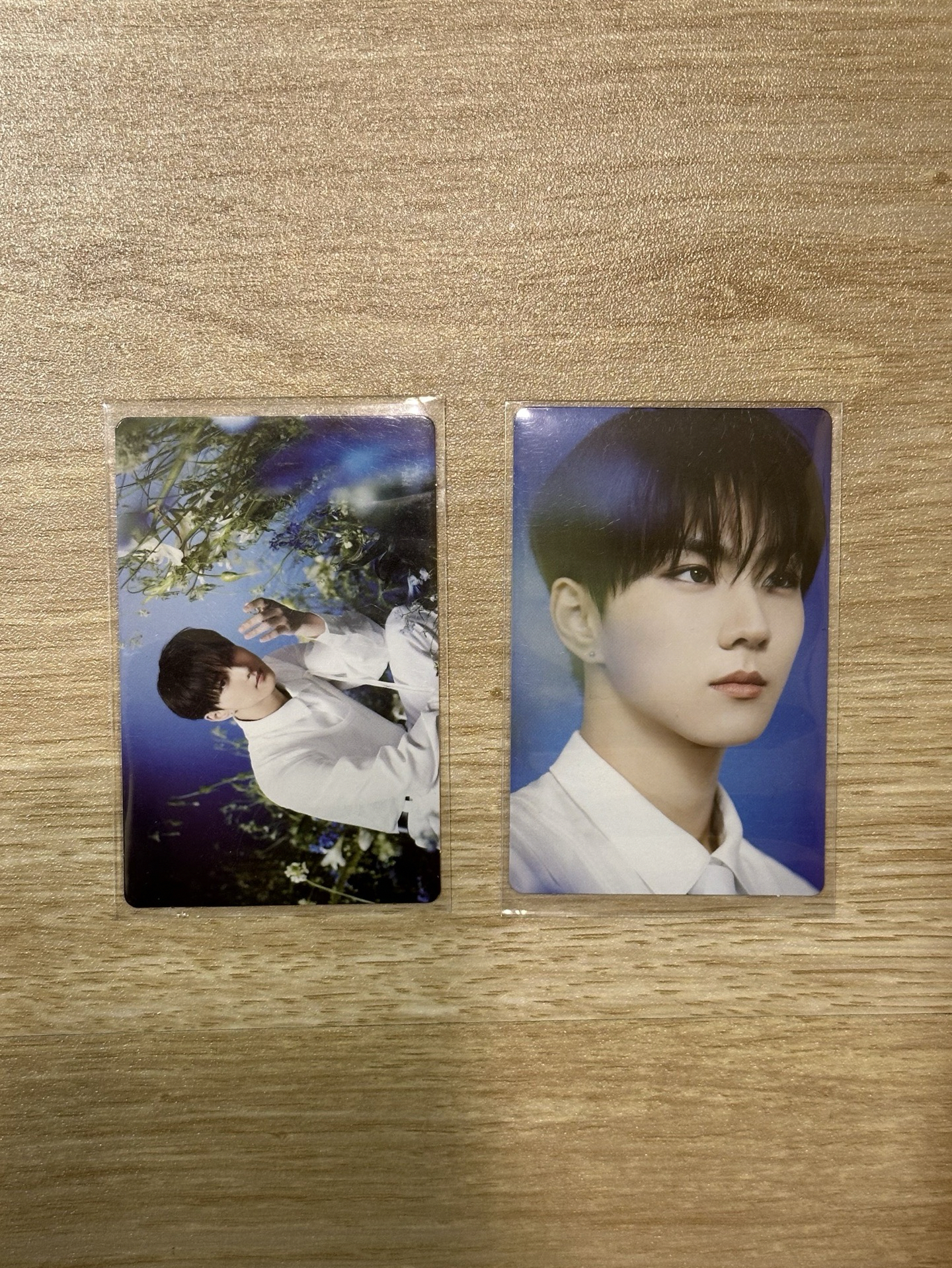 ENHYPEN｜梁禎元隨機卡