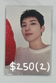 草莓圓（多帶2）