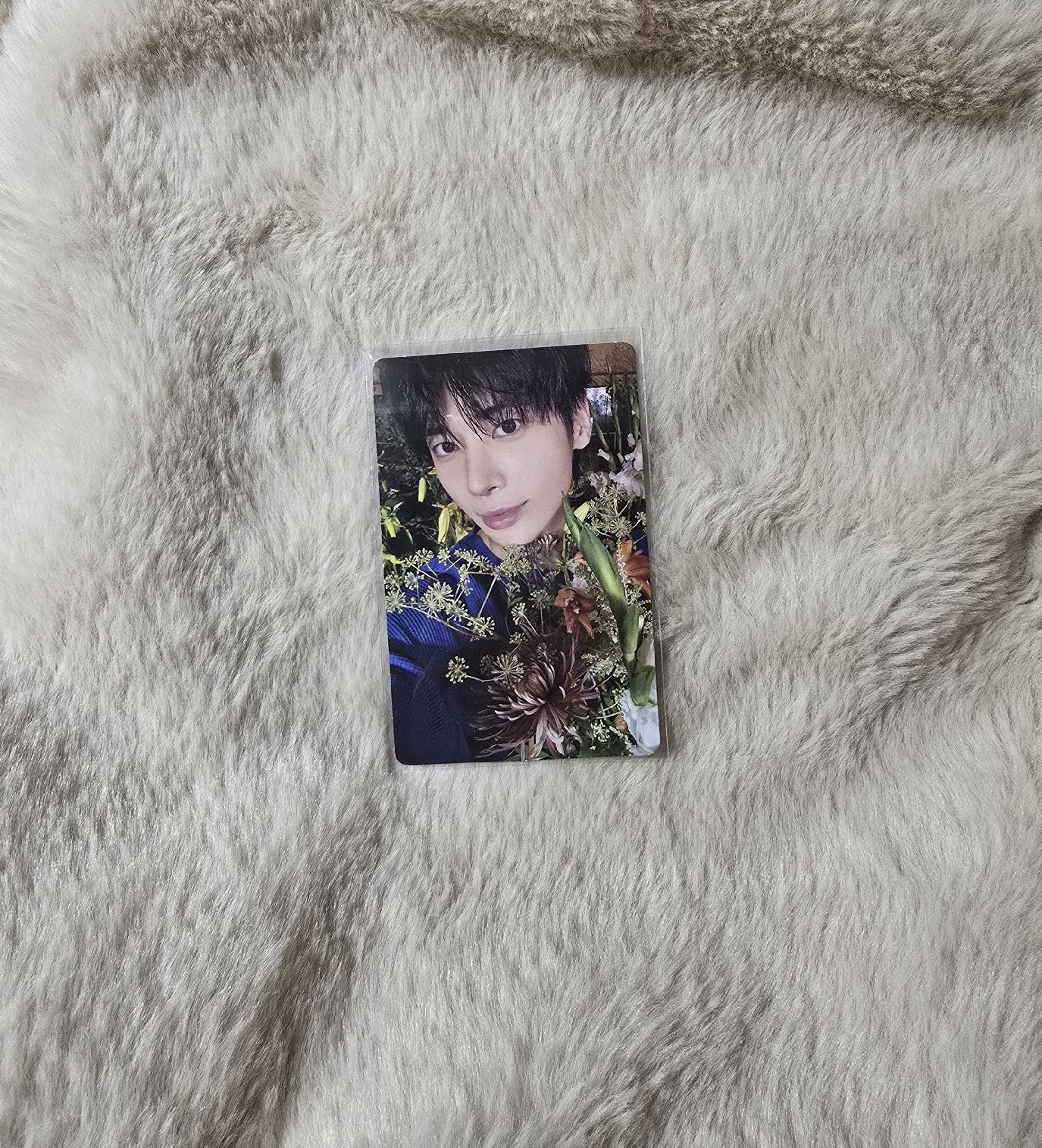 迷七WVS專卡-太顯