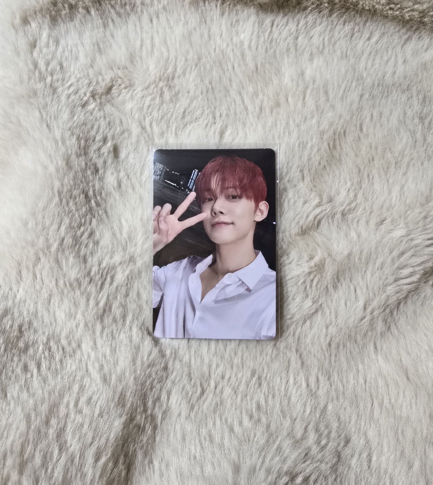 迷七WVS專卡-然竣