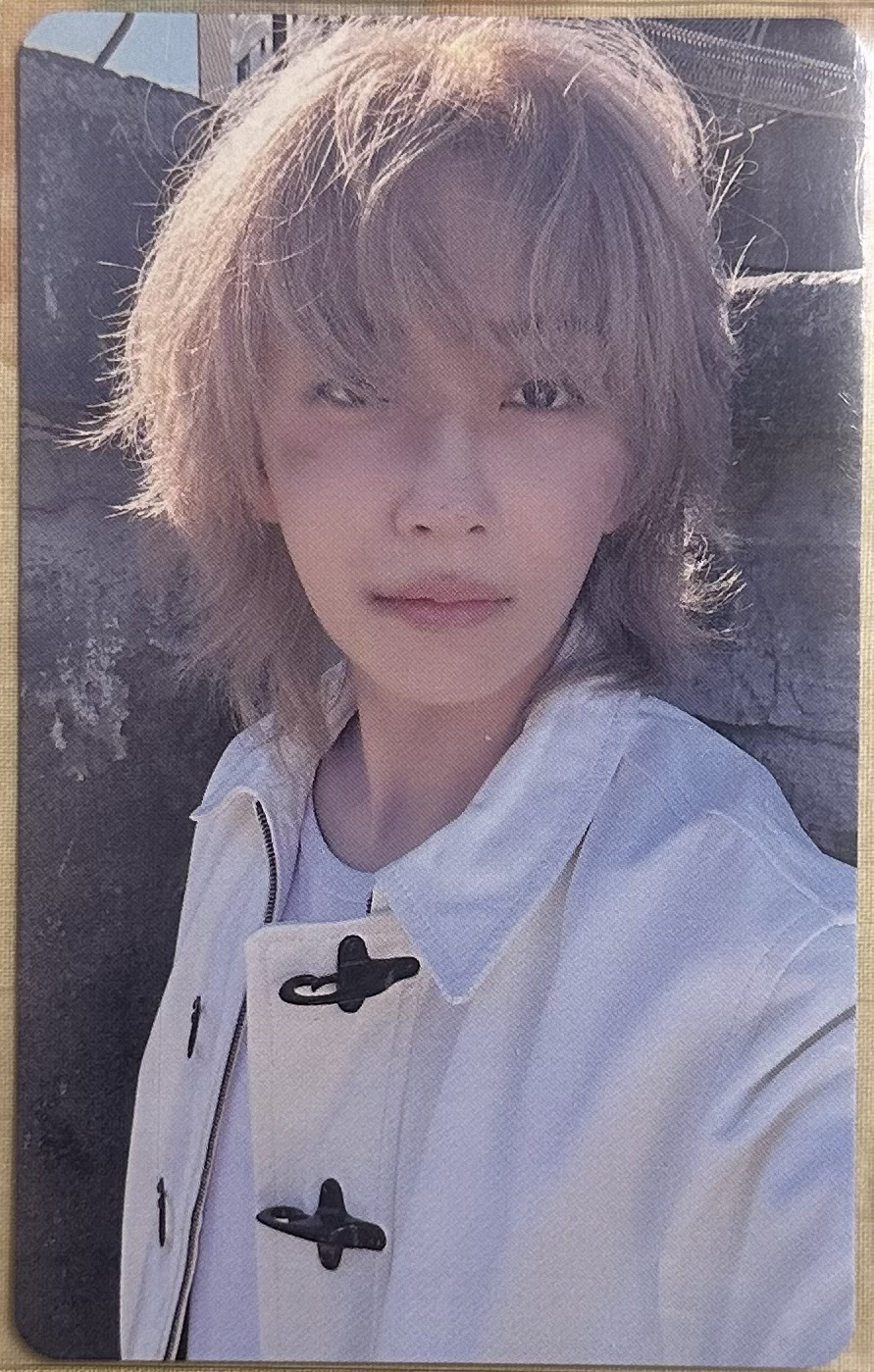 迷12 wvs福岡場限