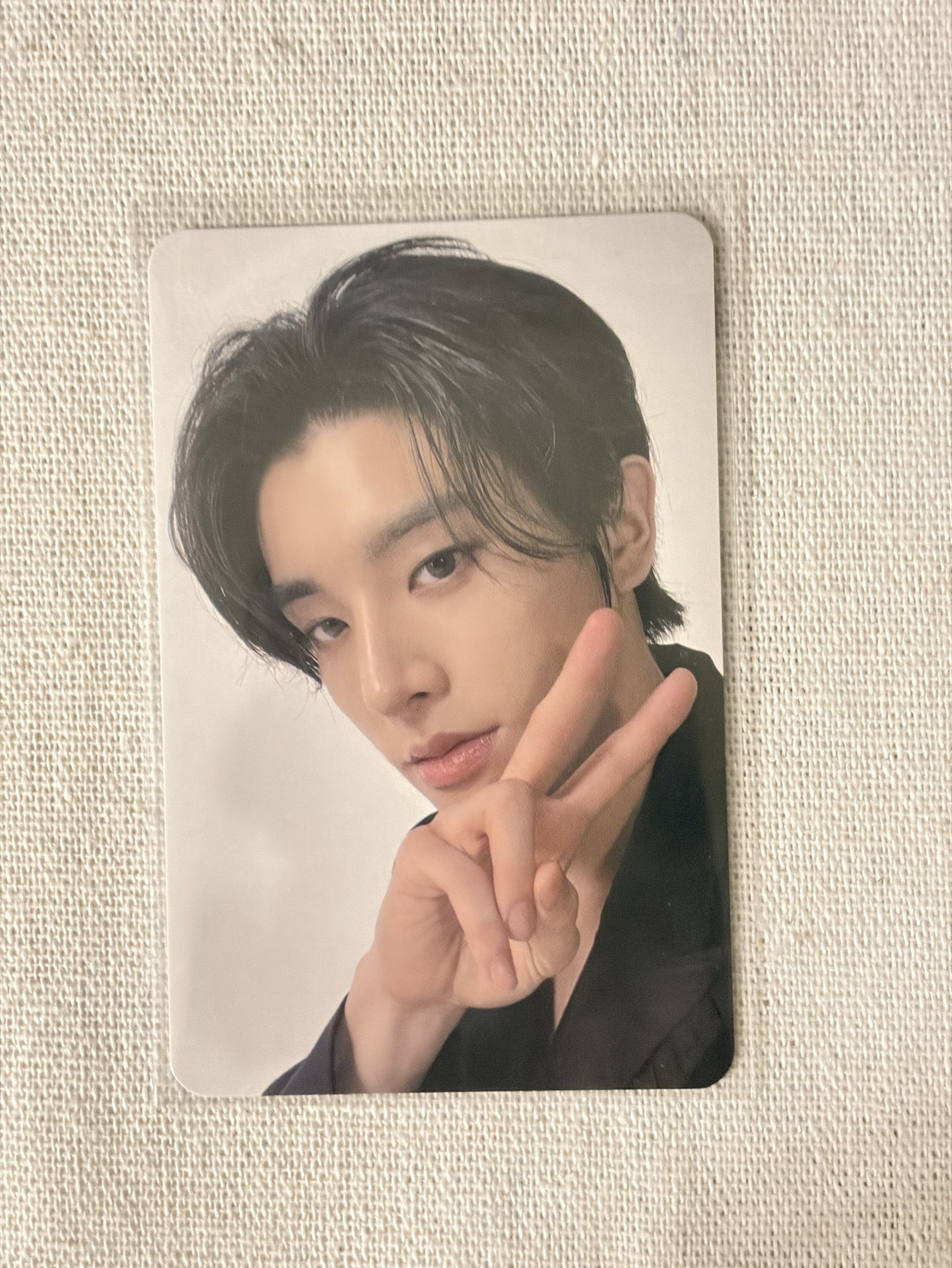 順毛小狗向你展示他的手指