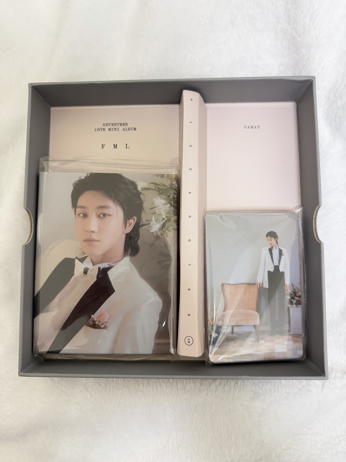 SVT 迷你10 克拉盤