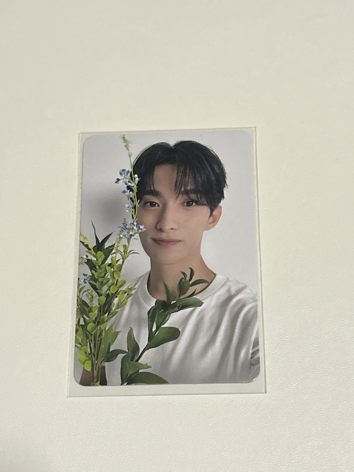 17 Is Right Here Dear ver. 專輯卡