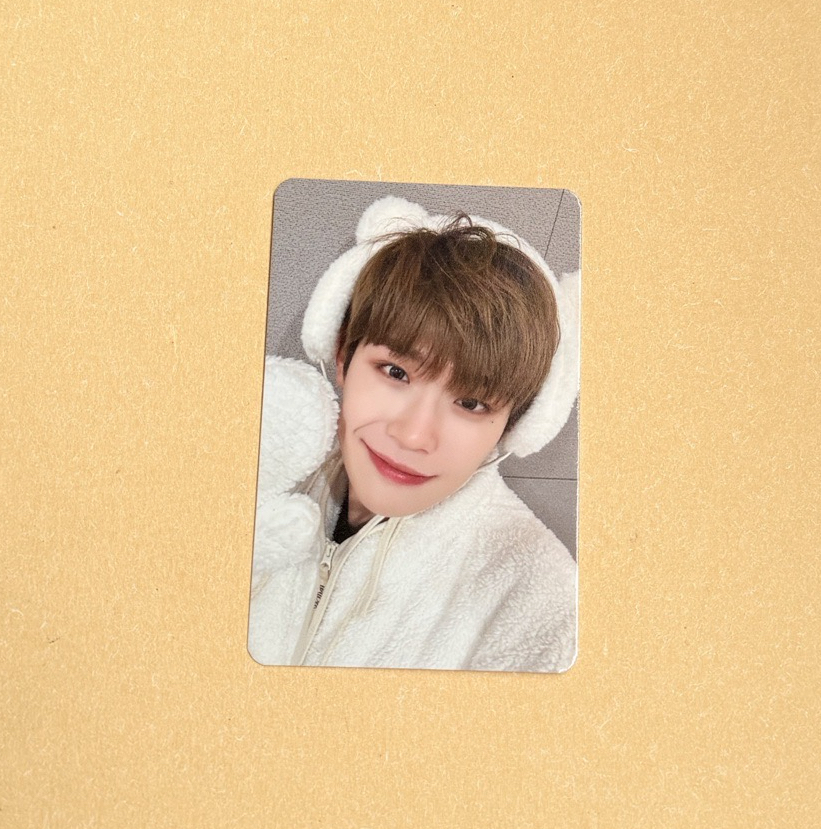 迷二ms北極熊來