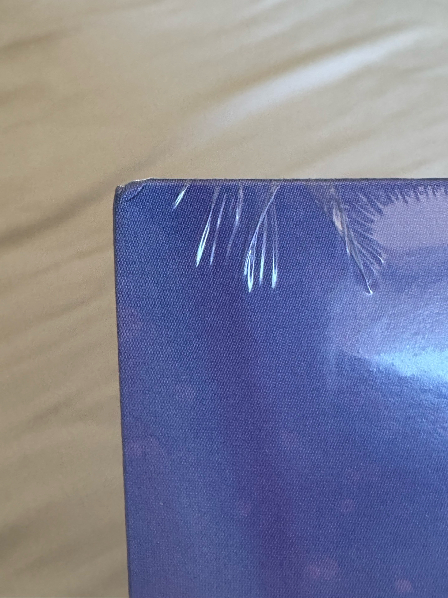 ⚡️TWICE K-pop Demon Hunters 獵魔女團 彩瑛 定延 志孝 Takedown 單曲 黑膠 唱片