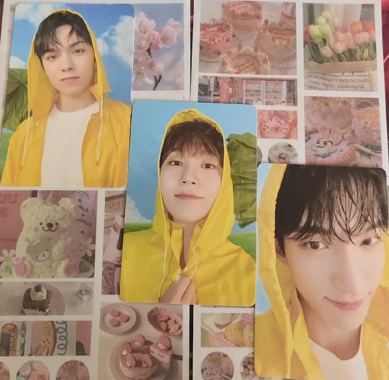 迷11 率寛碩小卡