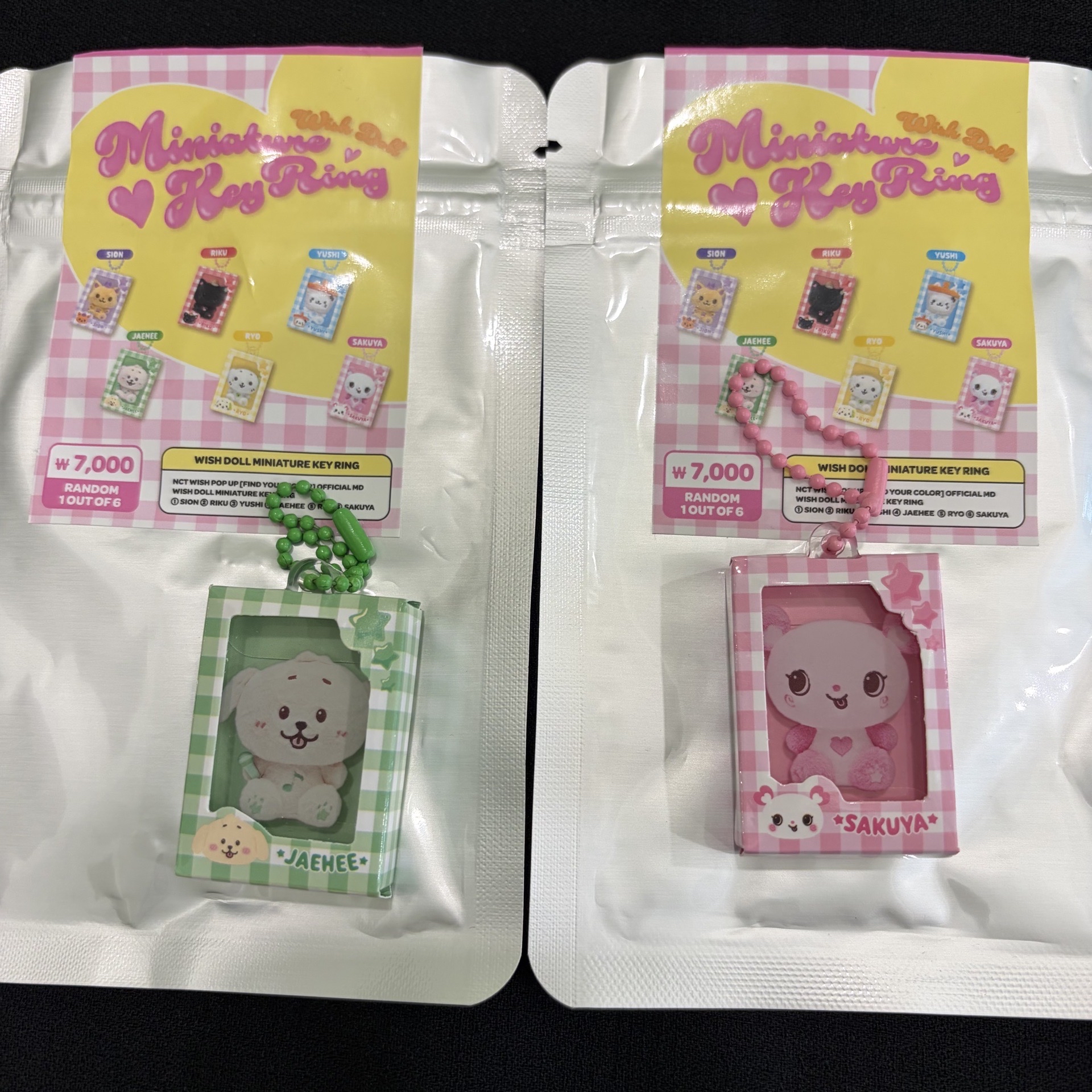 NCT WISH｜隨機鑰匙圈 WISH DOLL