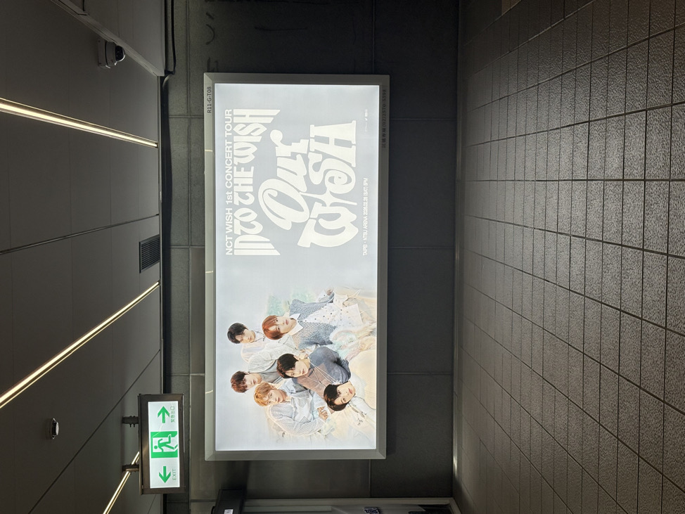 勇貓得志 （訂單完成如無誤請幫我用撥款 謝謝🙏）