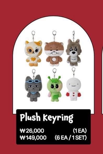 ‼️請勿直拍‼️ 聖誕快閃 原皮吊飾娃 常赫 雲鶴