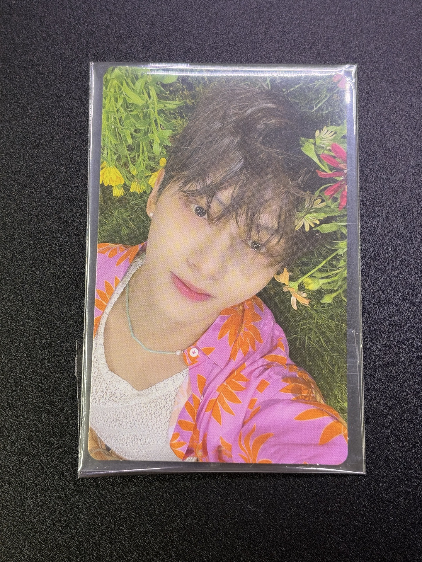 正四後續 KIT 俊