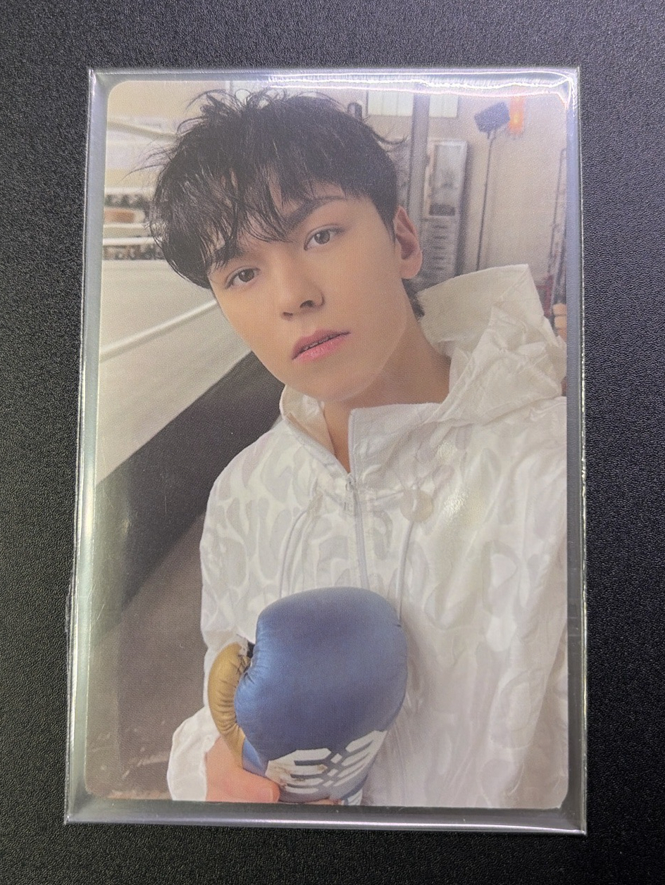 迷十 專卡 VERNON