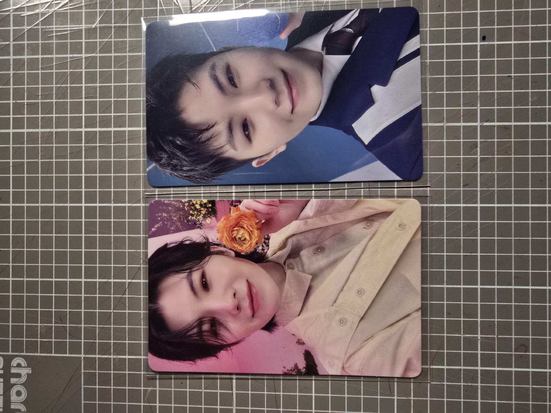 日專專卡&場限-勳