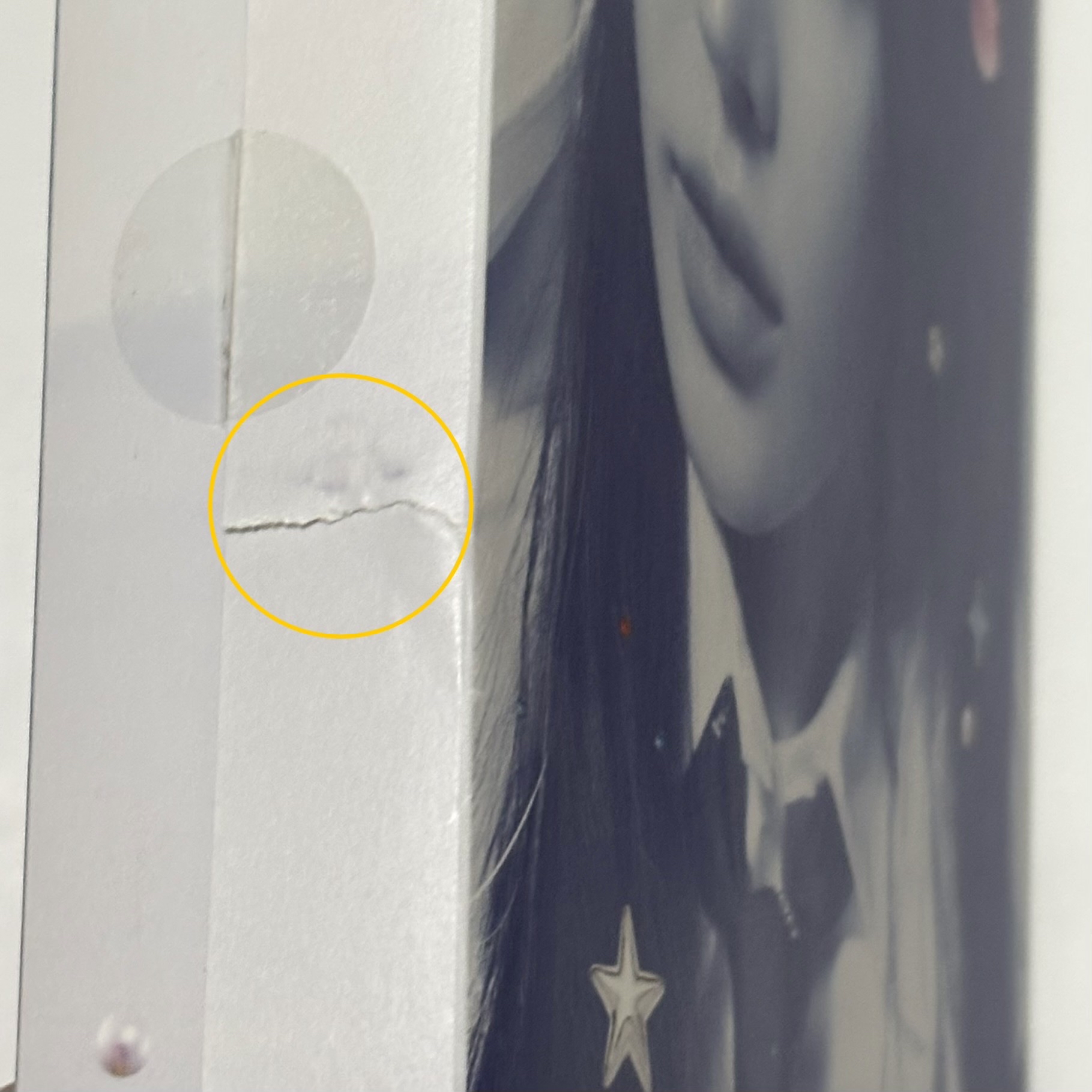 wenlo 2 已拆全專｜外層包裝紙有破損