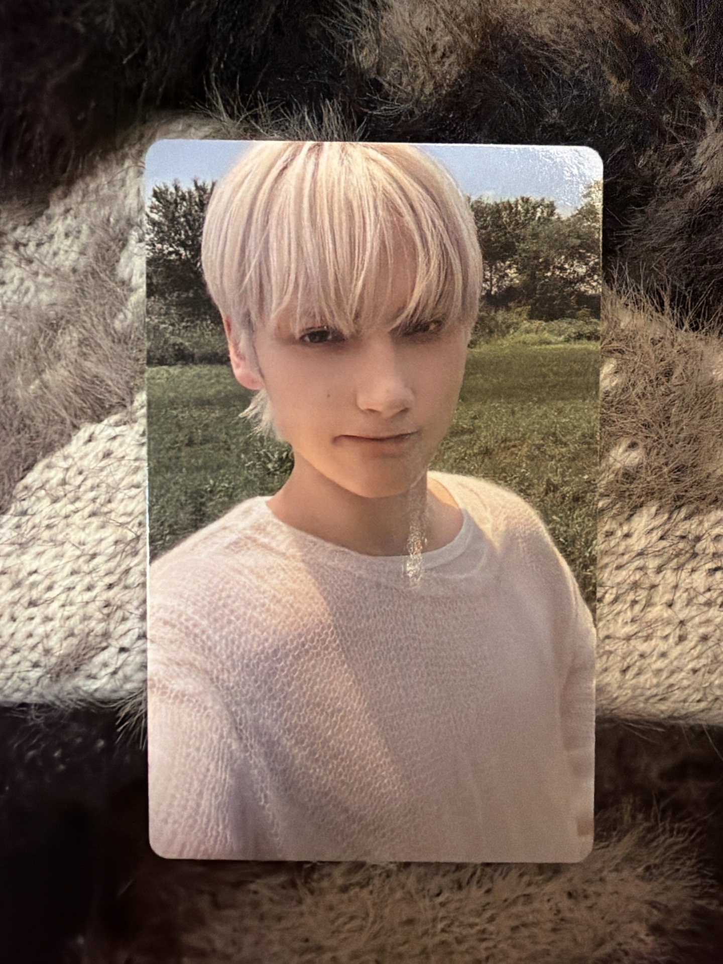 正四 wvs SC PB 特典