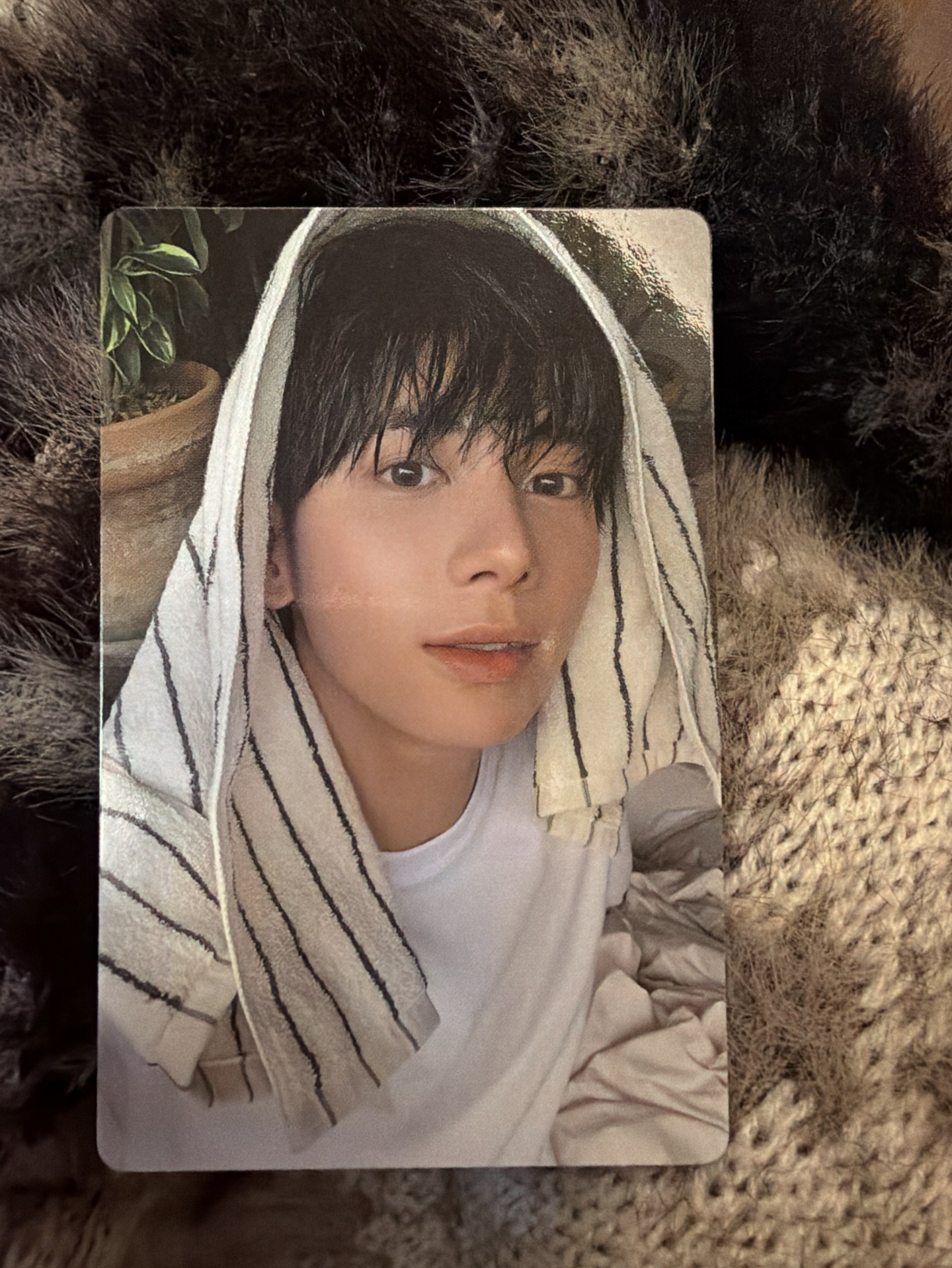 迷七 專輯卡 單封 Angel 版