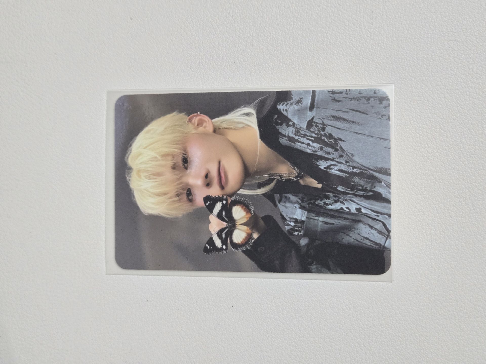 BTL JO 專卡 ROAR ver. B版