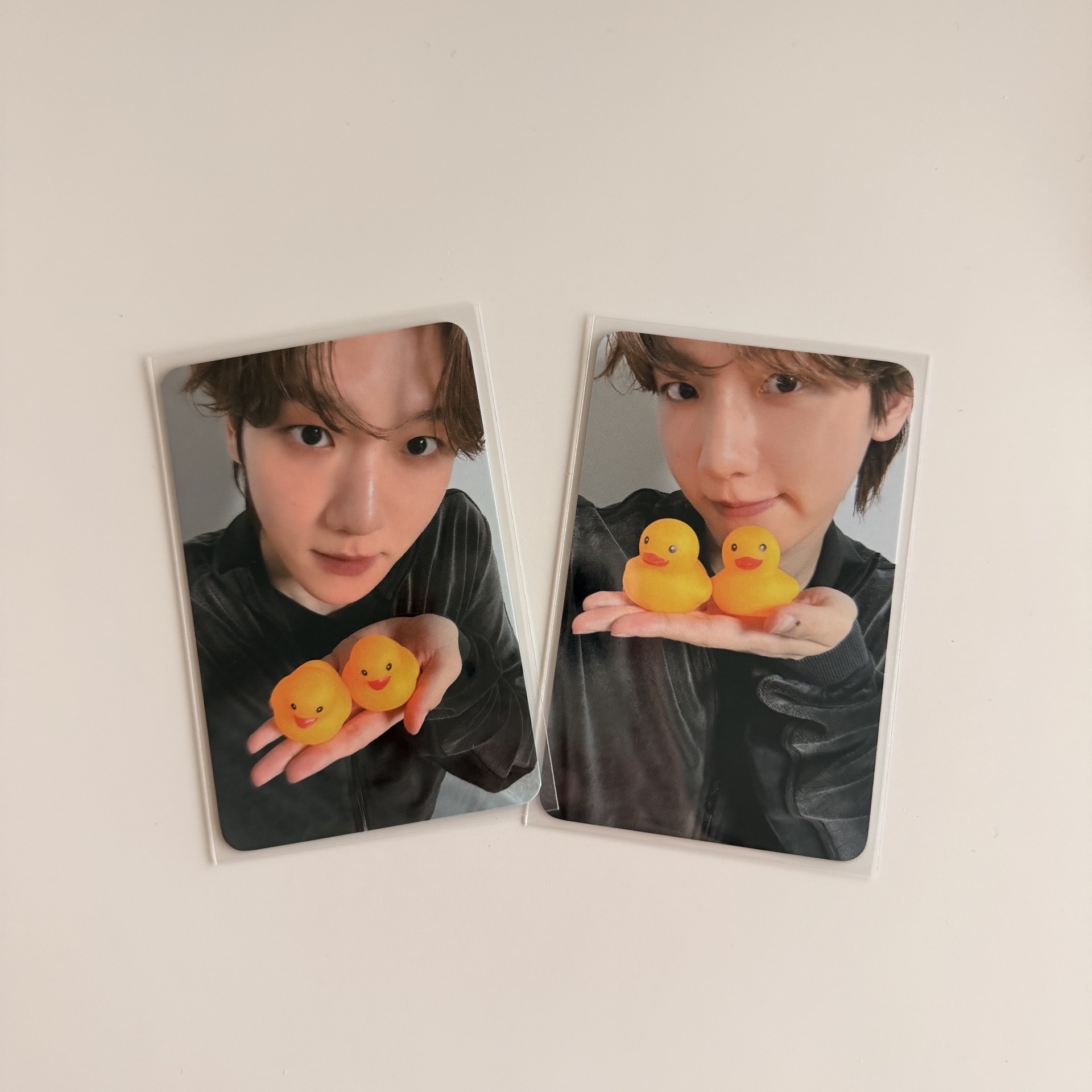 伯賢 BOLO5 K4 2.0 簽售卡