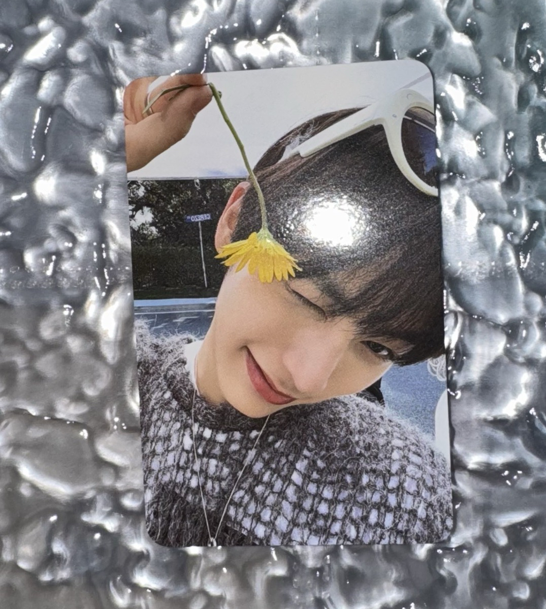 小黃花 wvs出道抽選 直出不綁