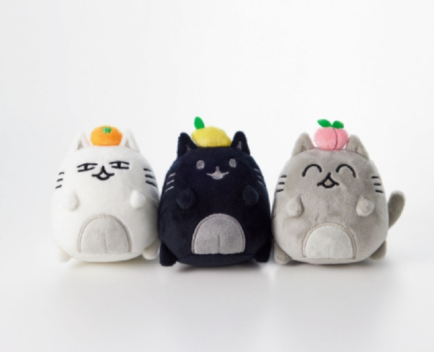 svt 藝人自製 O.C.L