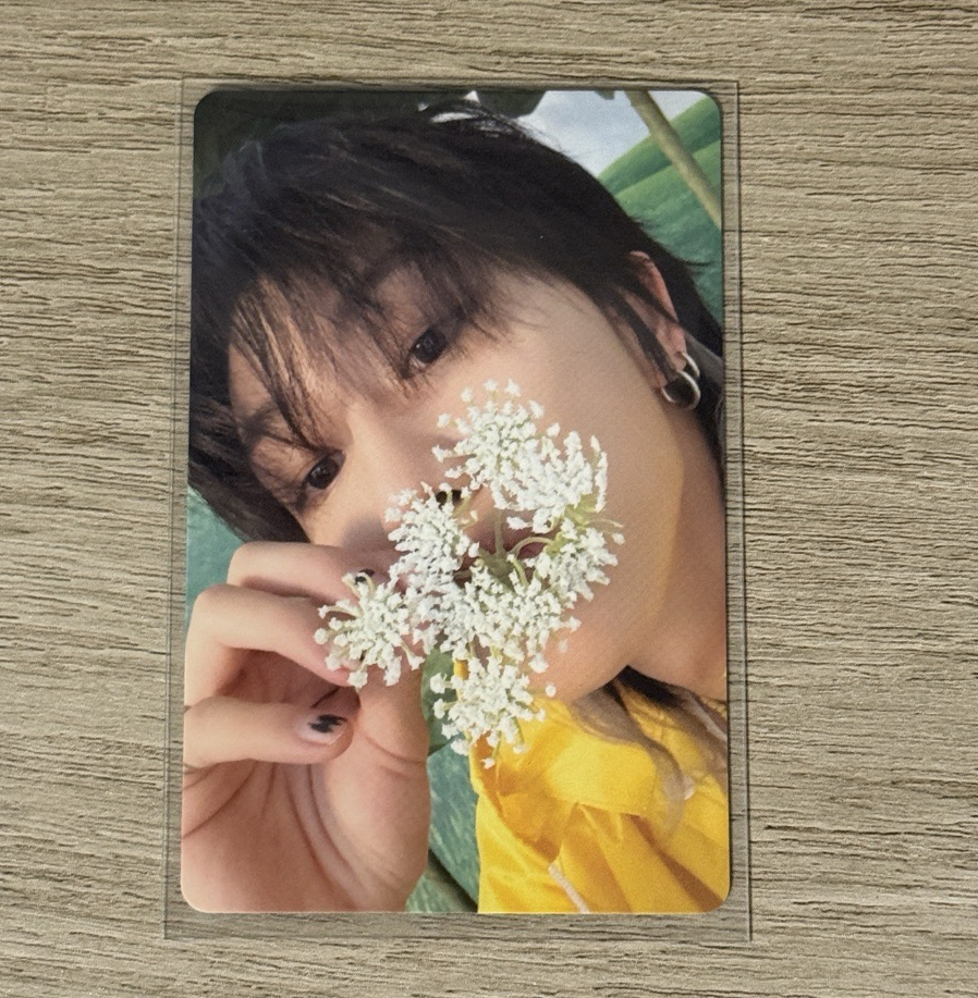 svt 迷十一 克拉盤八專卡