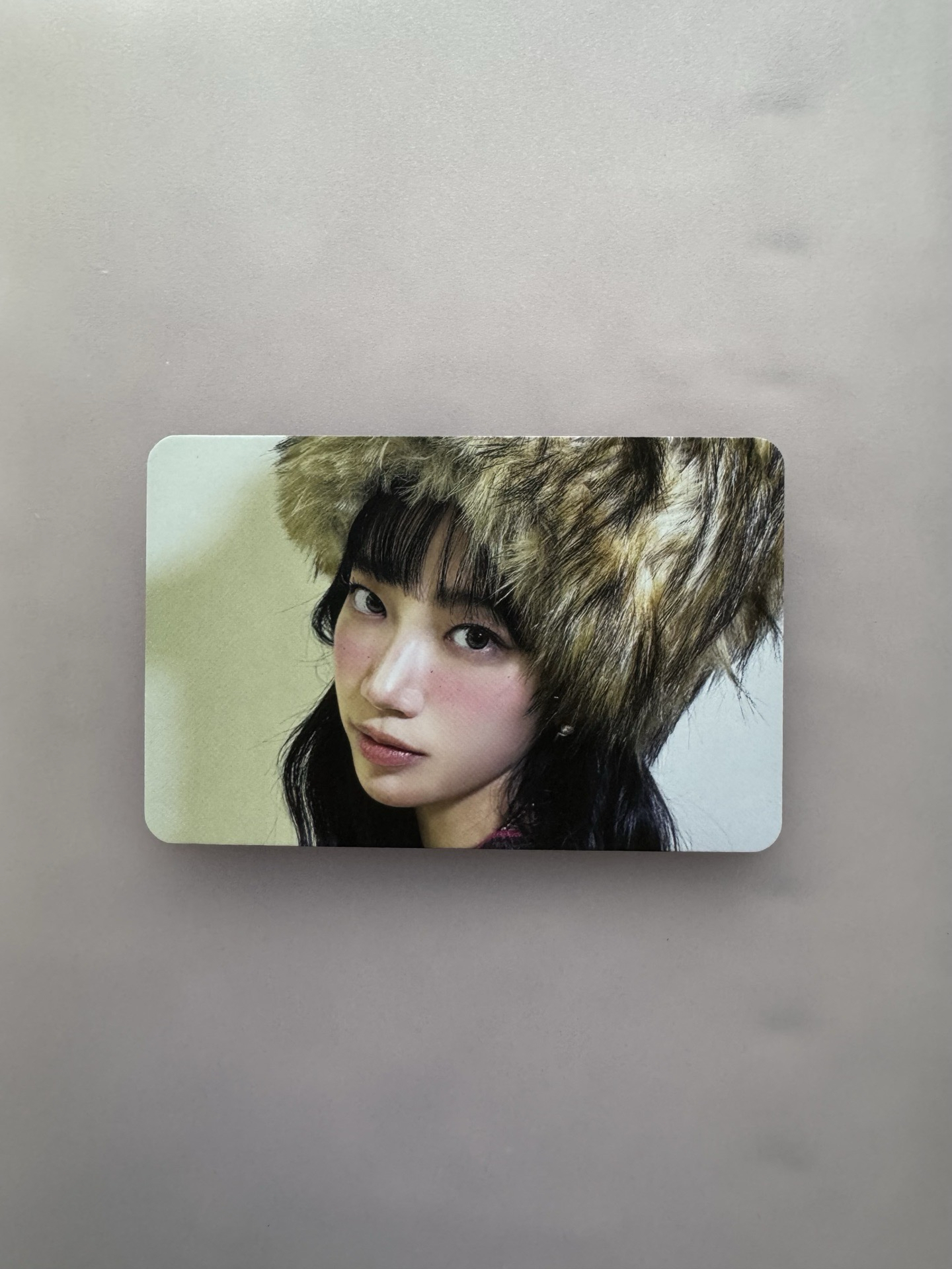 🍃一葉CRAZY單封專卡