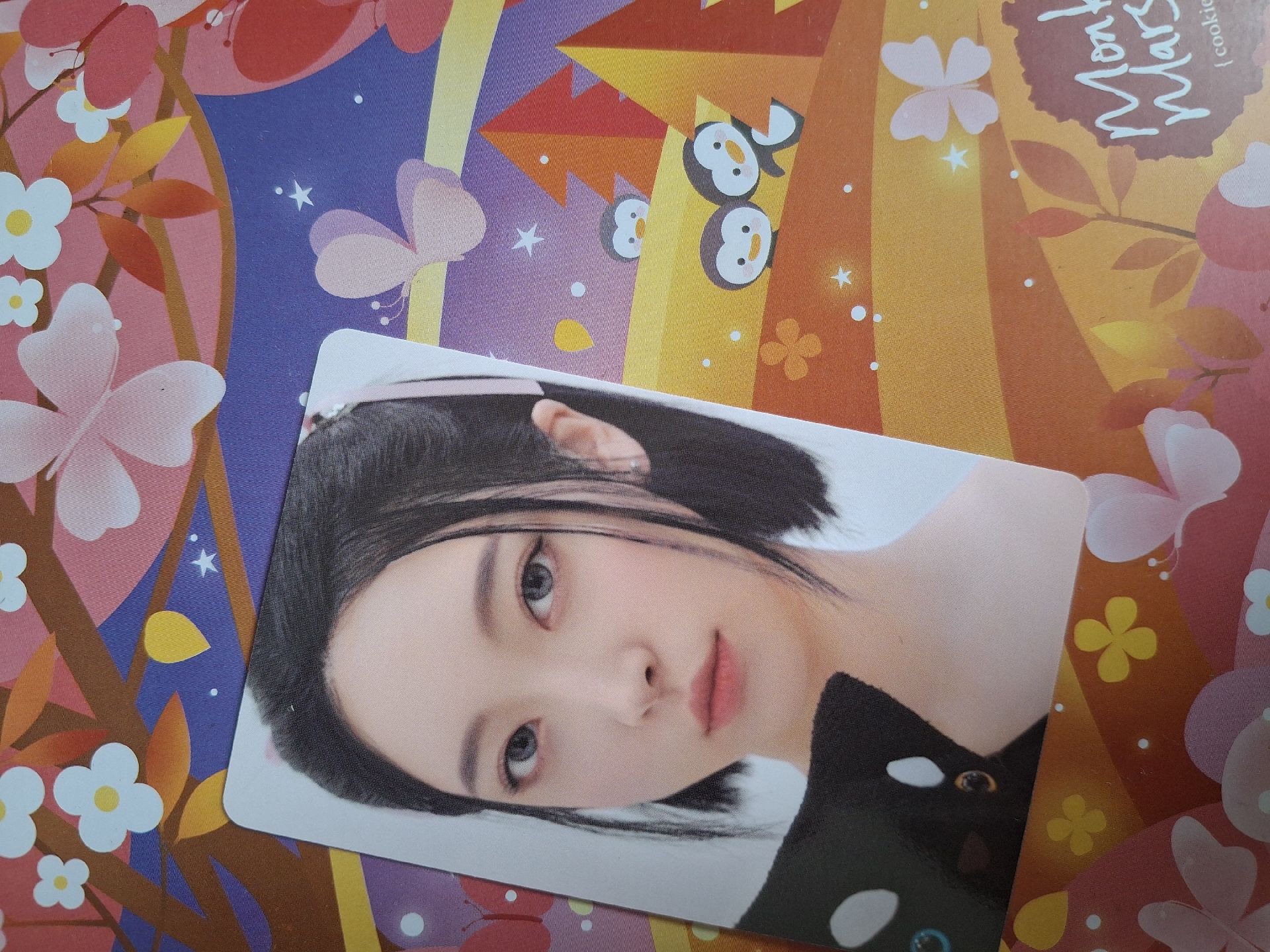 家族專專卡 naevis