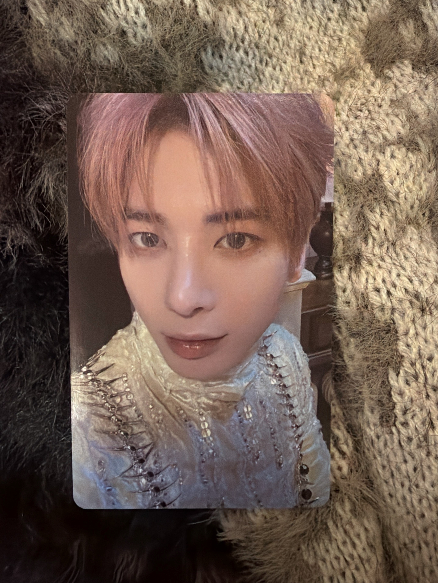 迷五 wvs 特典卡 