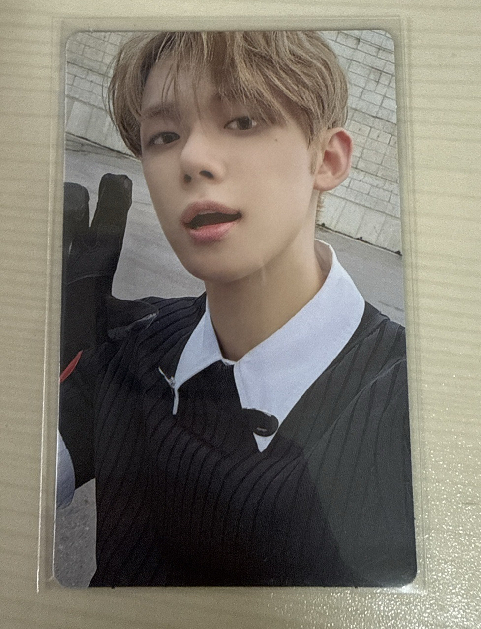 迷七 wvs 特典卡 