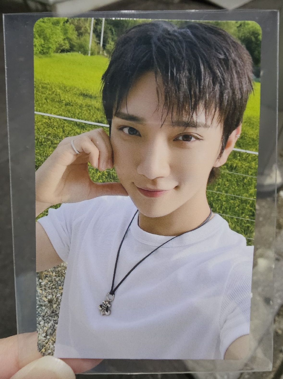 NEW_ 日巡續會卡 秀